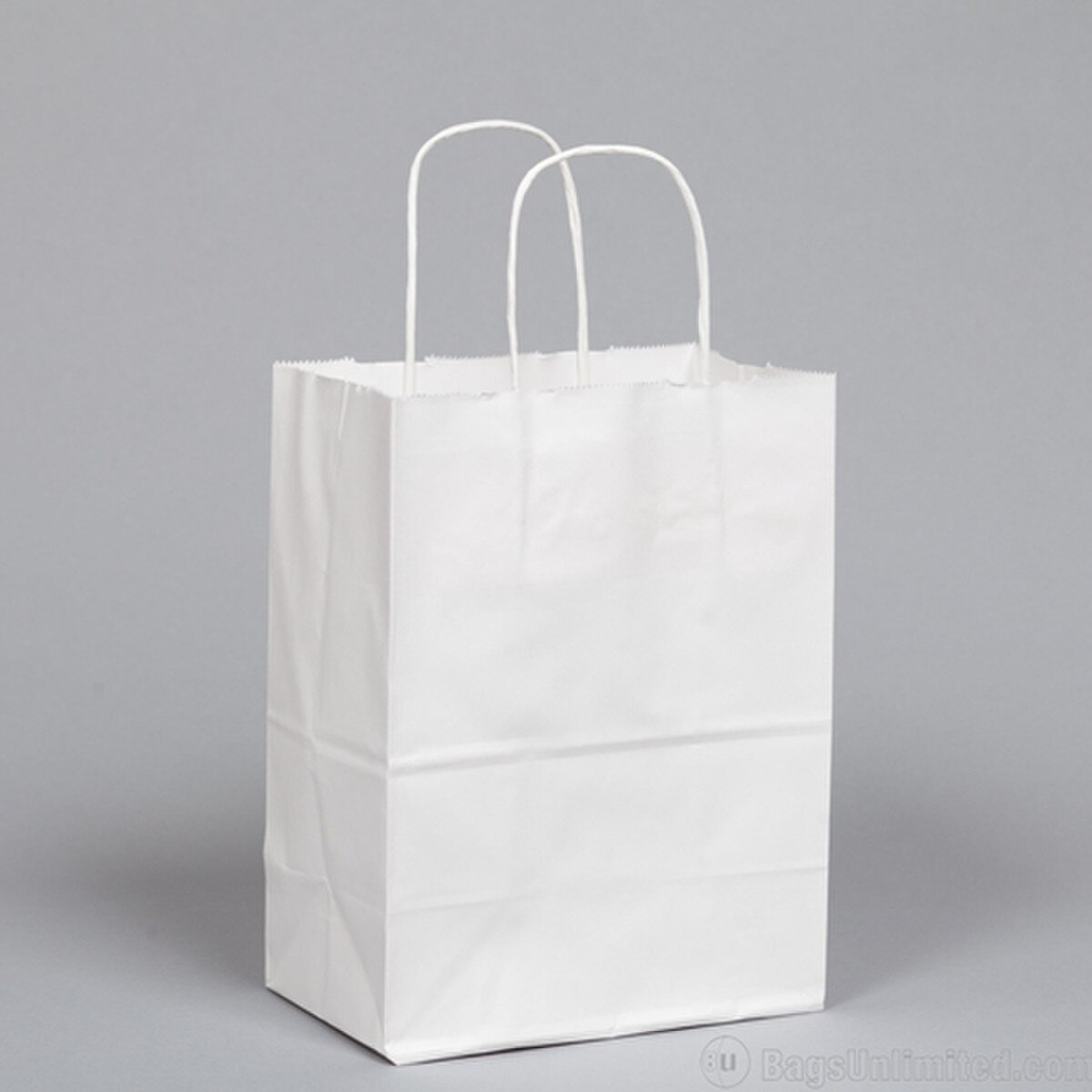 White Kraft Paper Shopping Bags wit